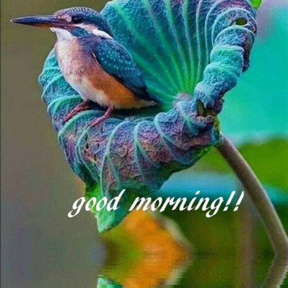 Meet your Posher, Zinat - Picture 1 of 1